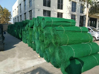 日喀則地區(qū)鋼塑復(fù)合土工格柵價(jià)格《-歡迎您》日喀則地區(qū)價(jià)格《-歡迎您》