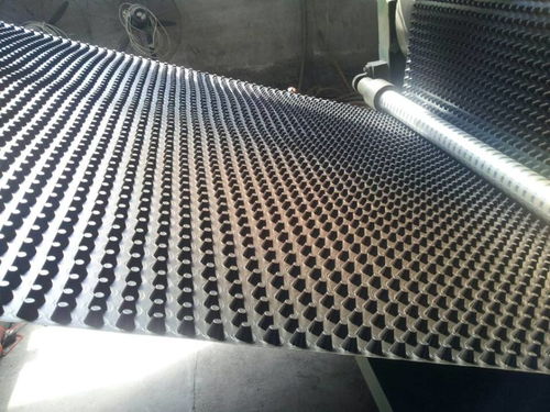 鋼塑土工格柵河北實(shí)體公司