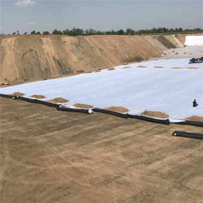 營(yíng)口鋼塑土工格柵廠家今日?qǐng)?bào)價(jià)及市場(chǎng)行情分析